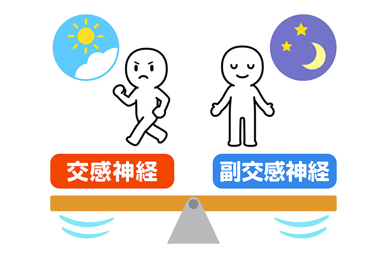 自律神経