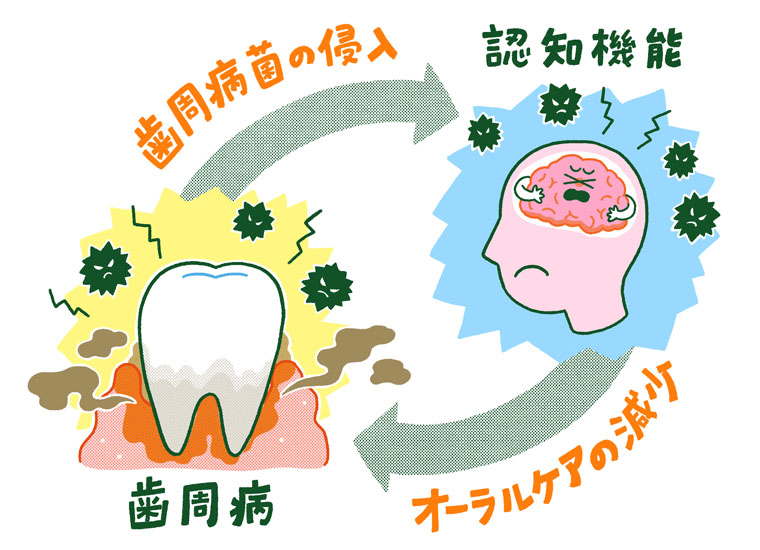 歯脳相関説明