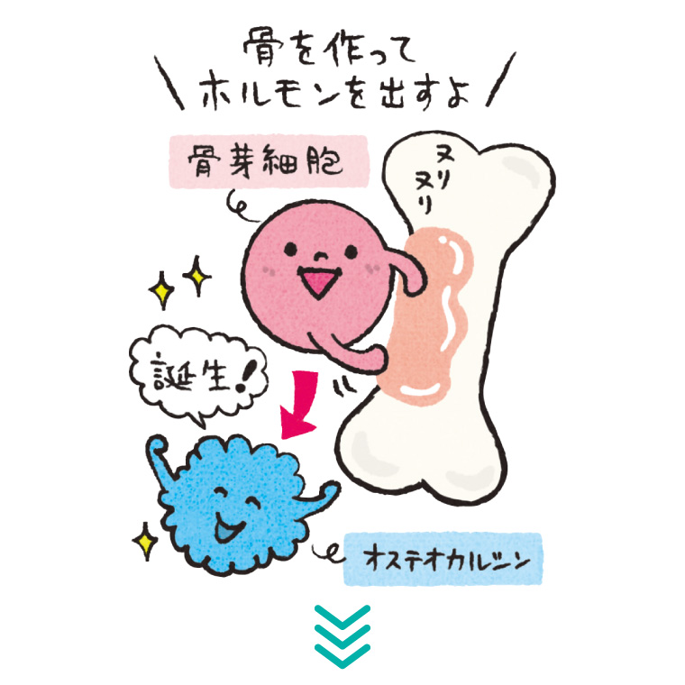 5秒骨トレ