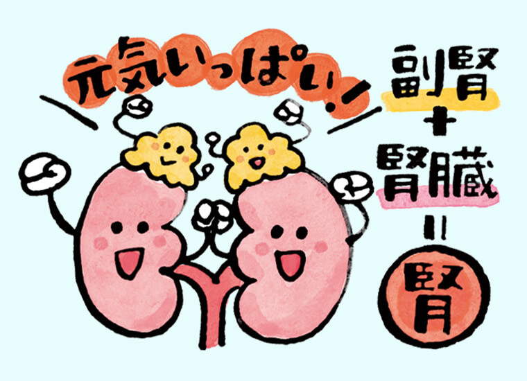腎ツボ