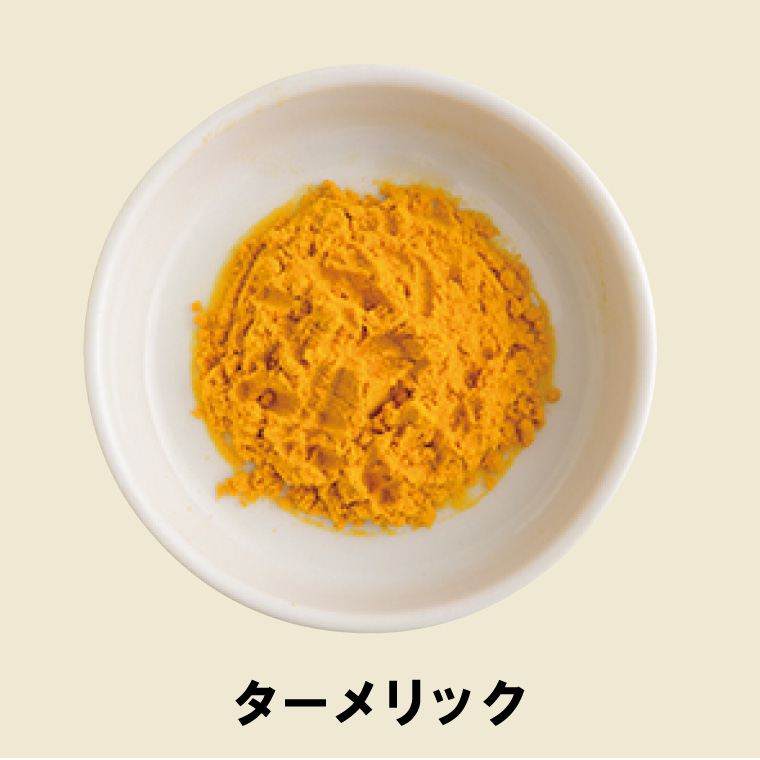 スパイスごはん