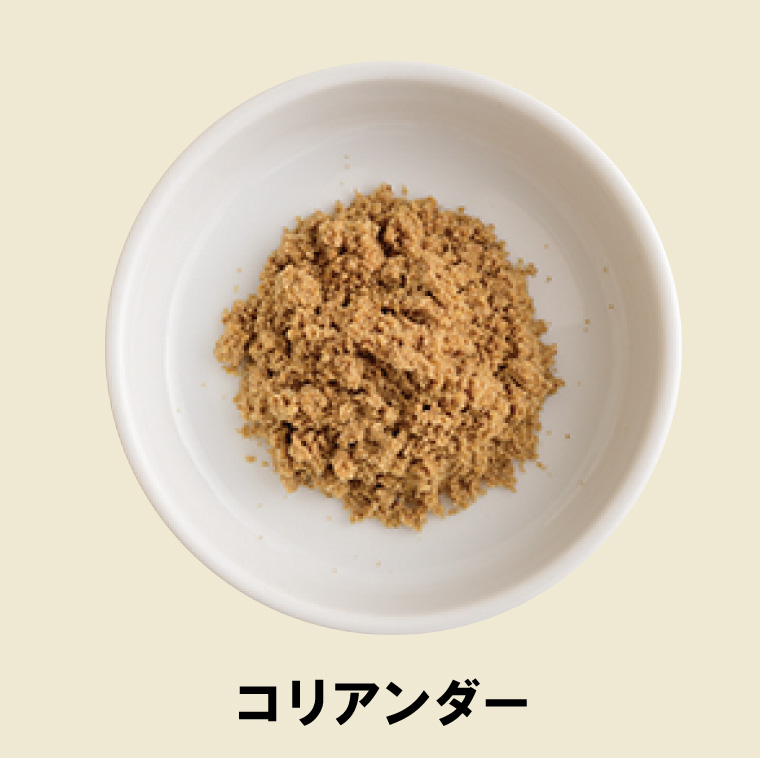 スパイスごはん