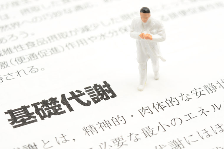 基礎代謝