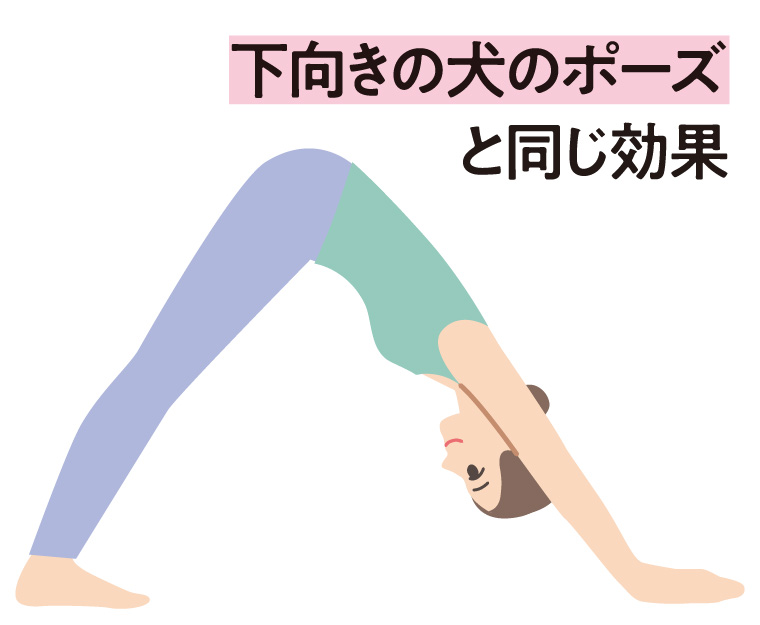 下向きの犬のポーズ