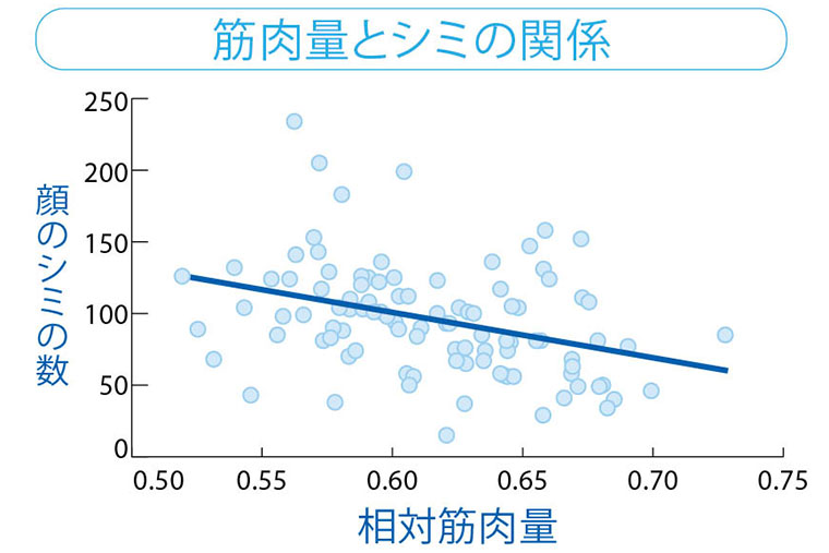 筋肉量とシミの関係