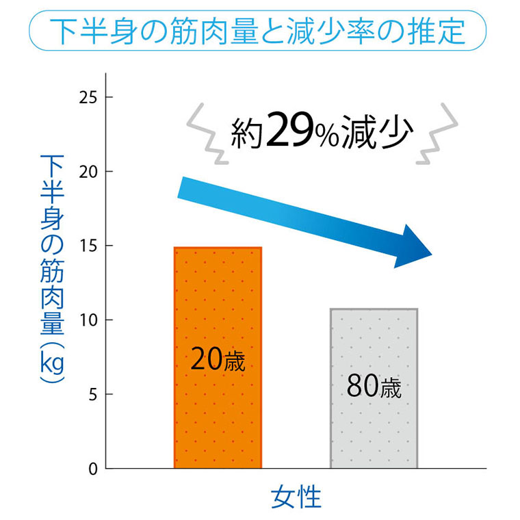 下半身の筋肉量と減少率の推定
