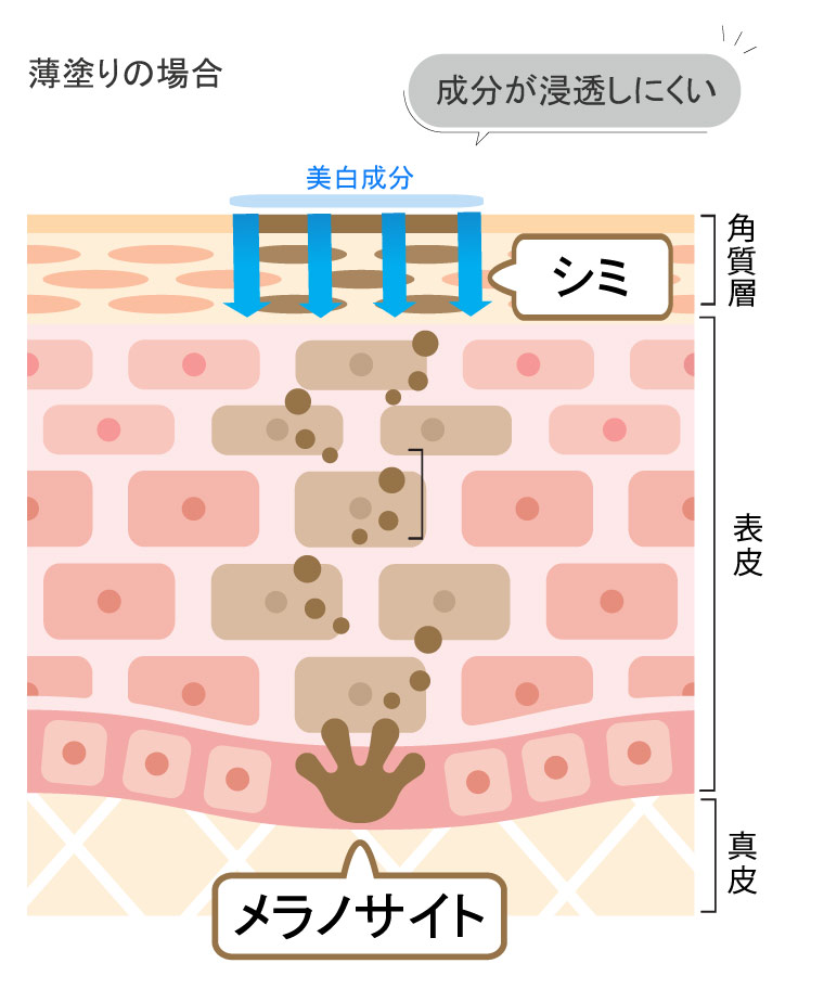 薄塗りの場合