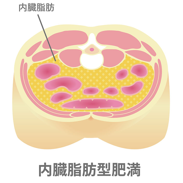 内臓脂肪