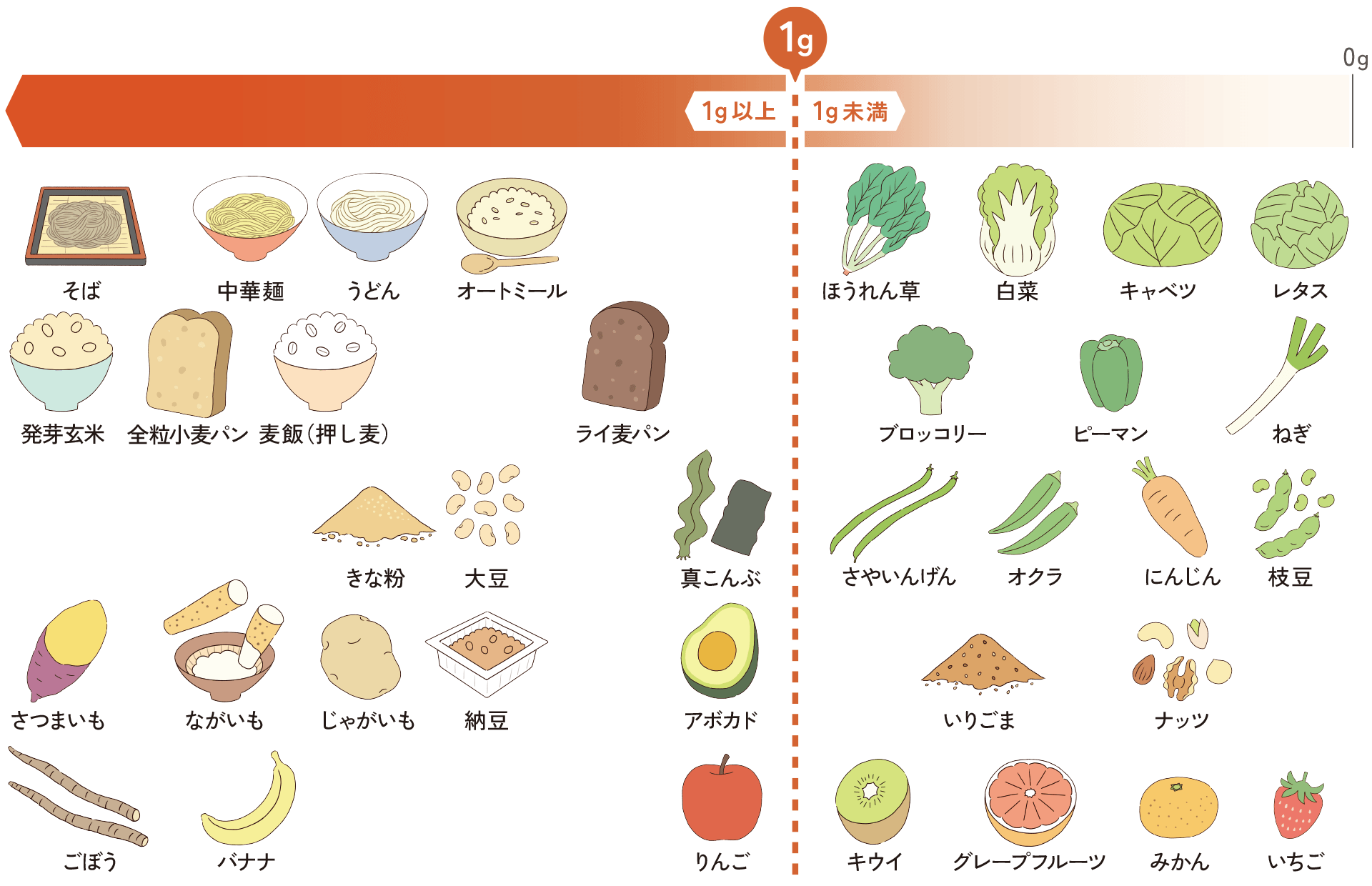 食品中の発酵性食物繊維量（1食あたり）