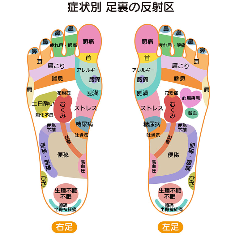 反射区