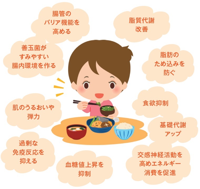 発酵性食物繊維のパワー