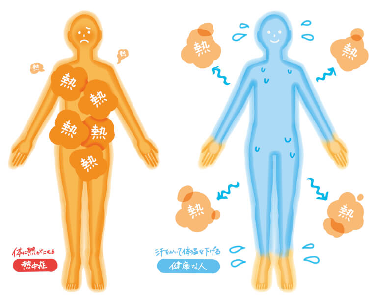 熱中症の仕組み