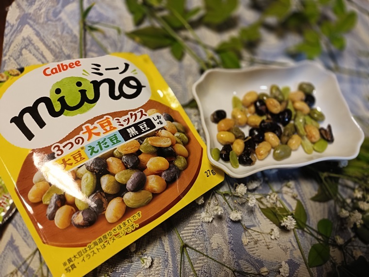 ミーノインスタ投稿
