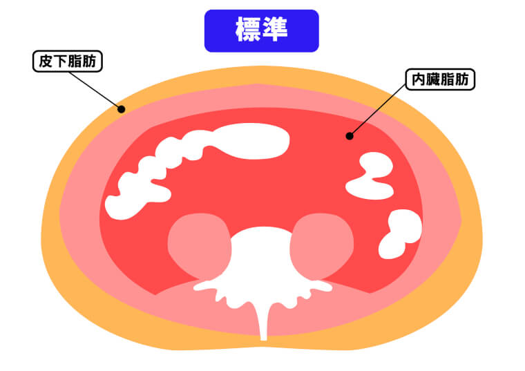 内臓脂肪