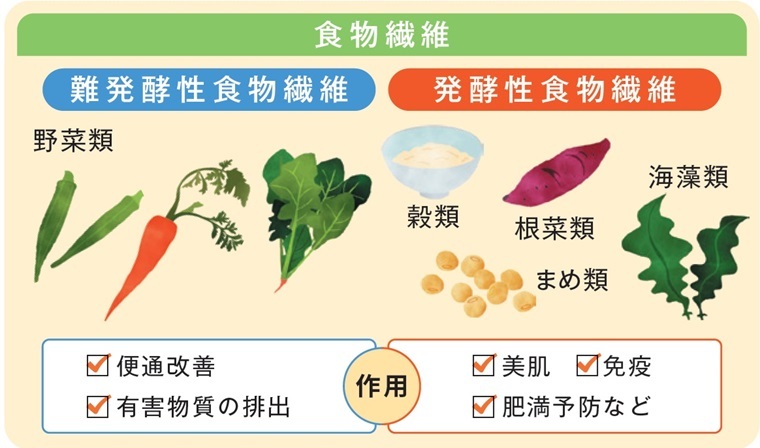 食物繊維の種類