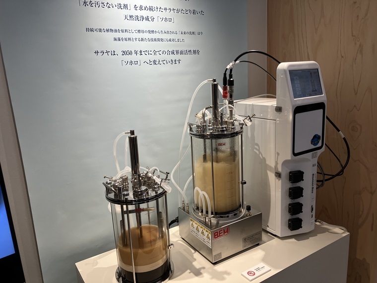 ソホロの展示