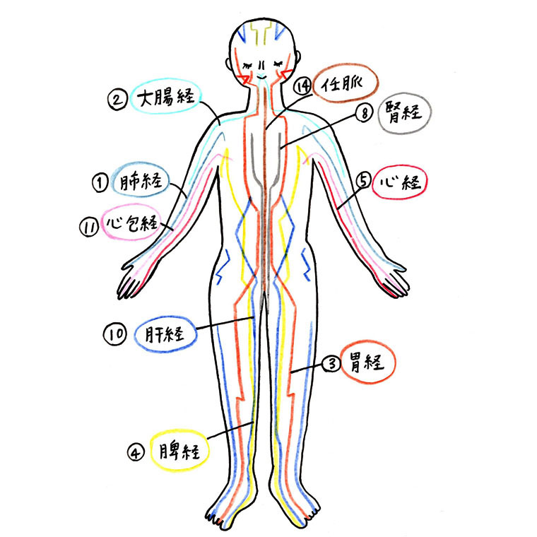 全身に張り巡らされている14の経絡のイラスト(表面)