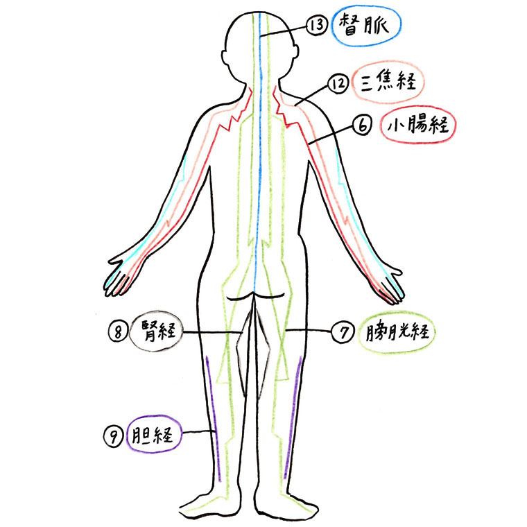 全身に張り巡らされている14の経絡のイラスト(背面)