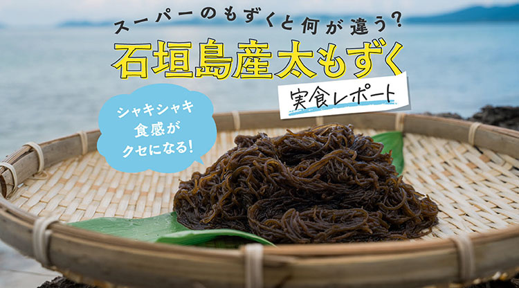 もずくカルーセル