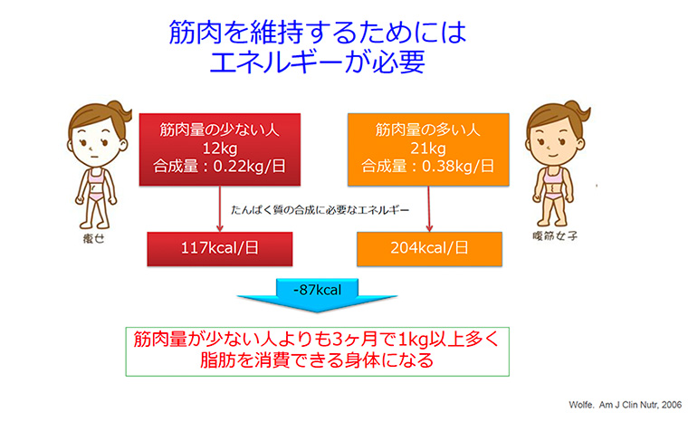 資料筋肉維持とエネルギー