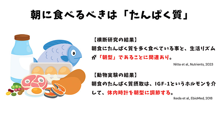 資料朝に食べるべきたんぱく質