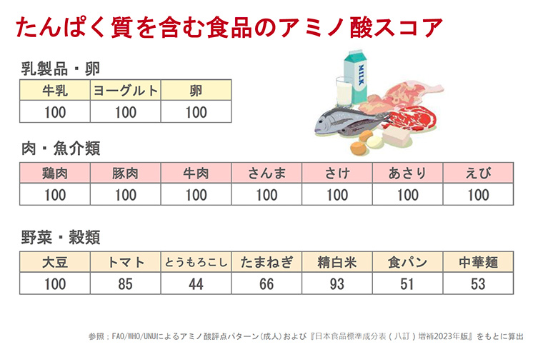 アミノ酸スコア資料