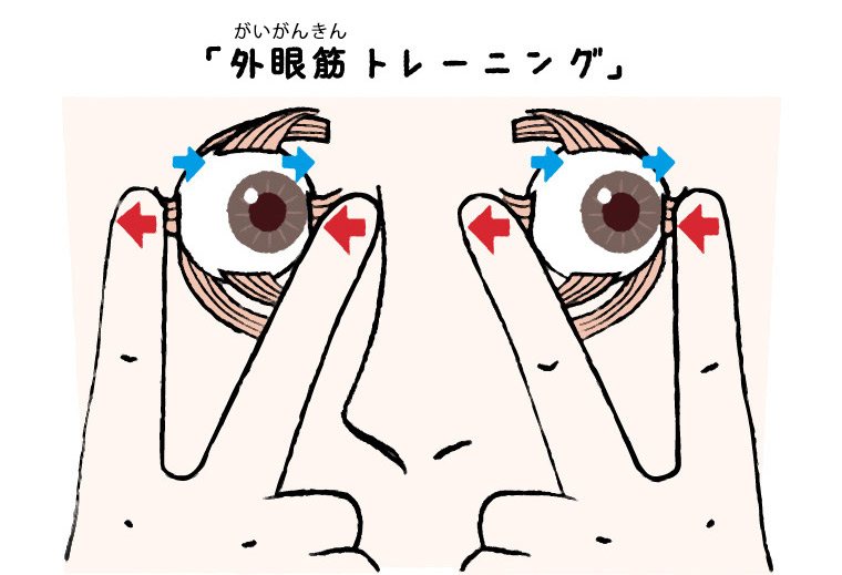 外眼筋トレーニング説明イラスト