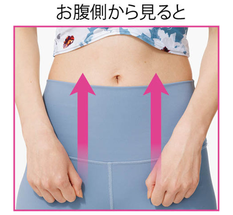 お腹側から見ると