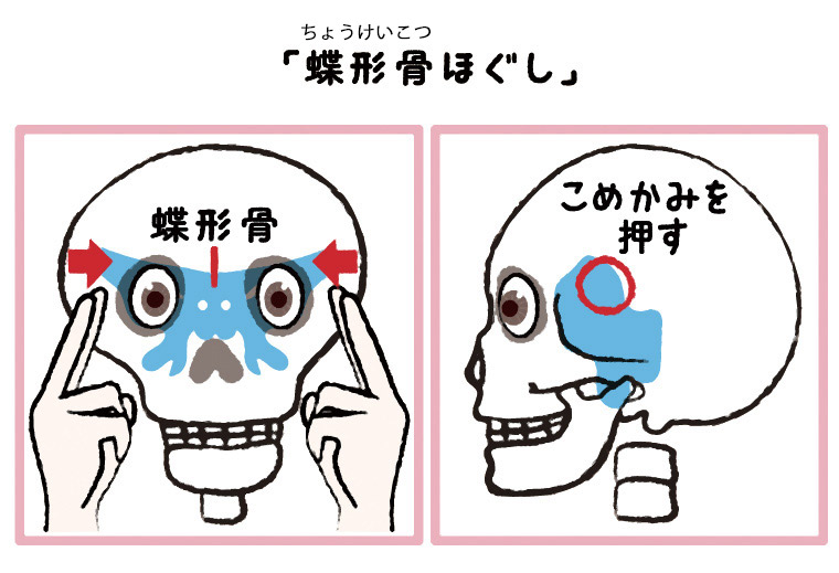 蝶形骨(ちょうけいこつ)ほぐし説明イラスト