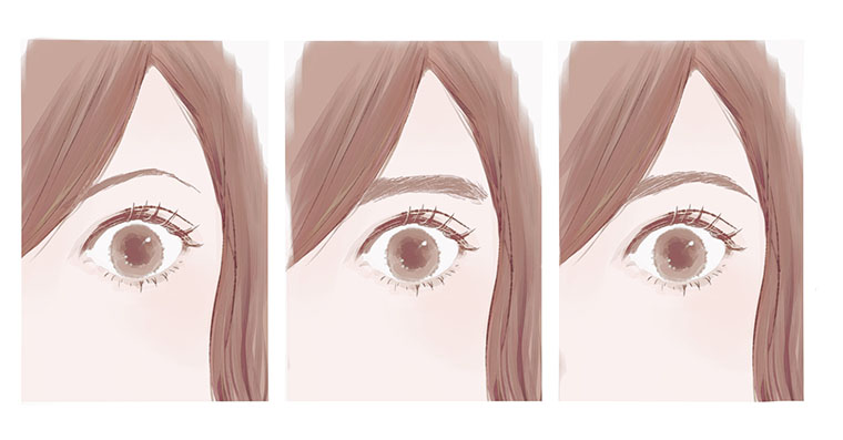 眉型のイラスト