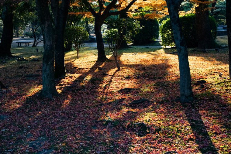 日が短くなる秋の風景