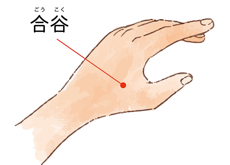 ツボ_合谷