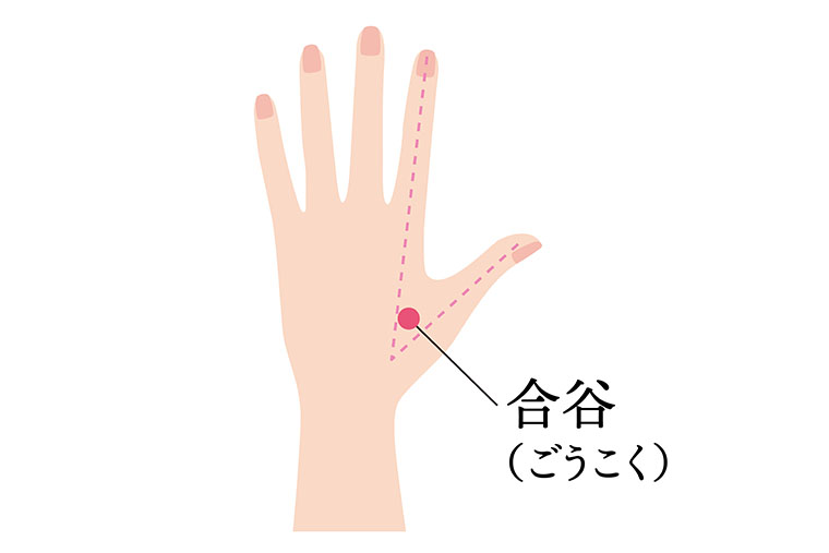 ツボ_合谷