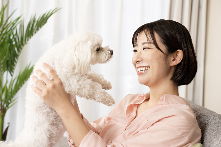 ペットの犬と触れ合う女性