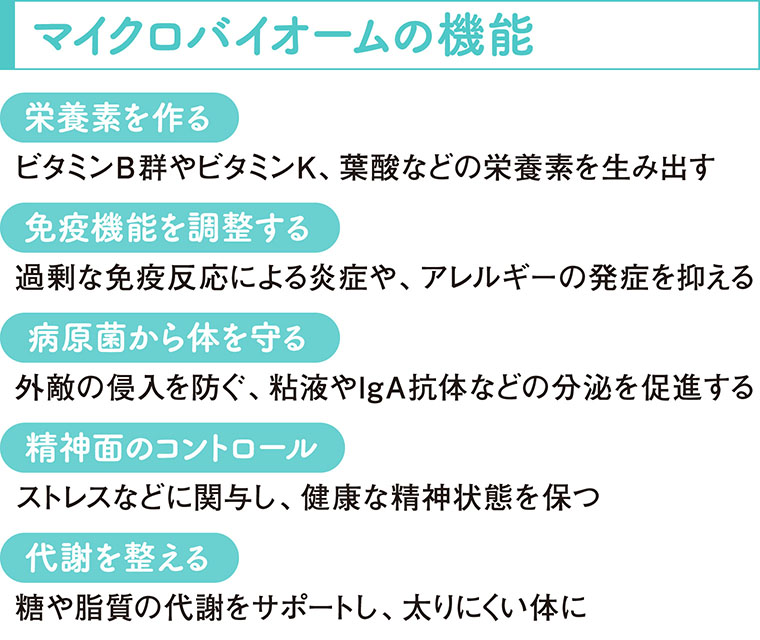 アムウェイ_腸のヘルス講座②漫画イラスト