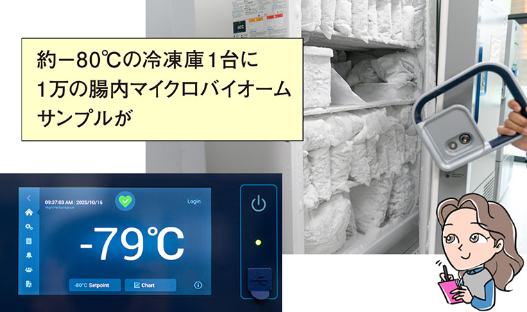 アムウェイ_腸のヘルス講座②漫画イラスト