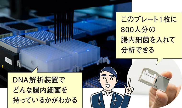 アムウェイ_腸のヘルス講座②漫画イラスト