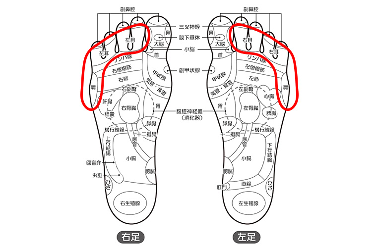 自律神経・目・耳・肩の足つぼ