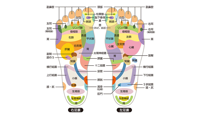 足裏ツボ