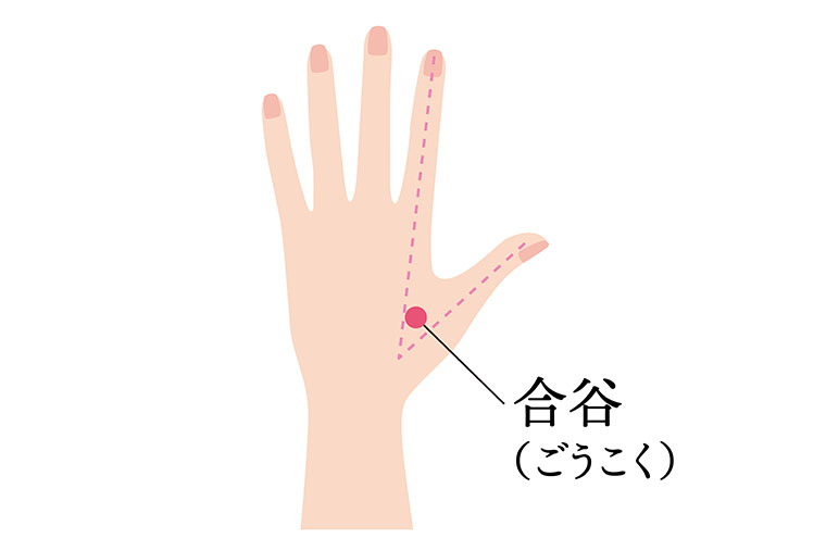 合谷_ツボ