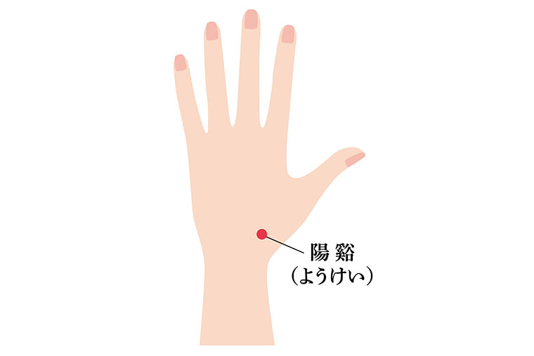 陽谿_ツボ