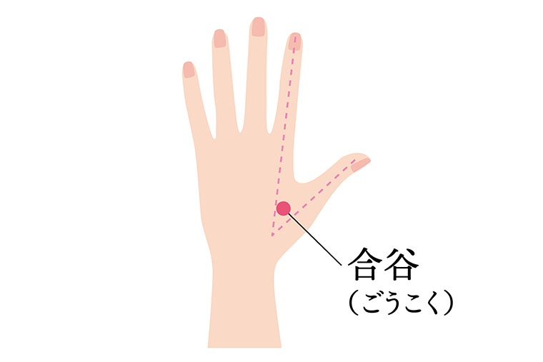 合谷_ツボ