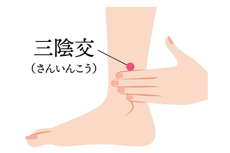 三陰交_ツボ