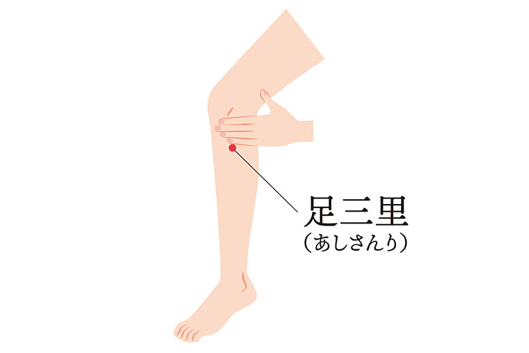 ツボ_足三里