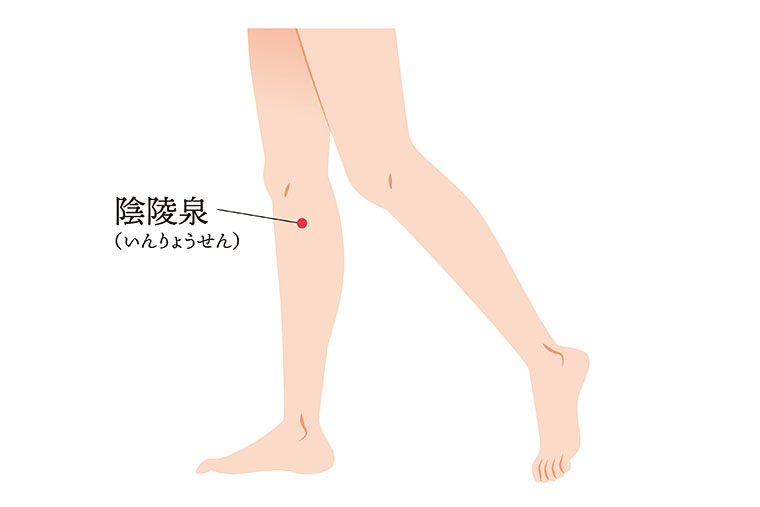 ツボ_陰陵泉