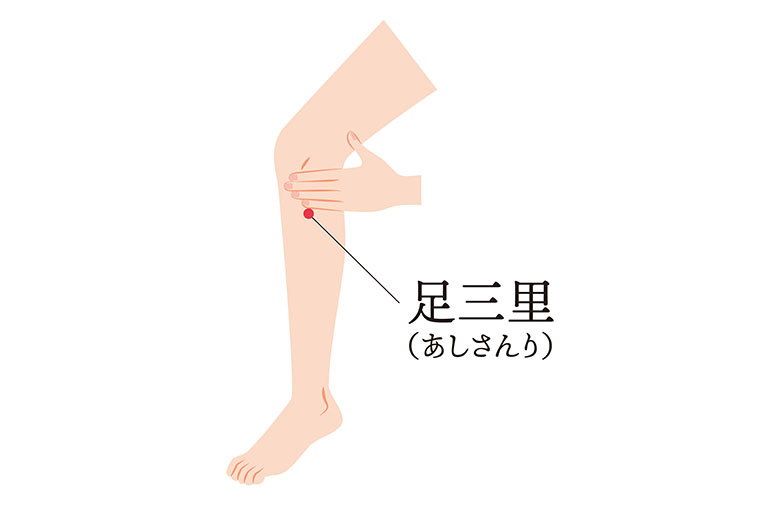 足三里_ツボ