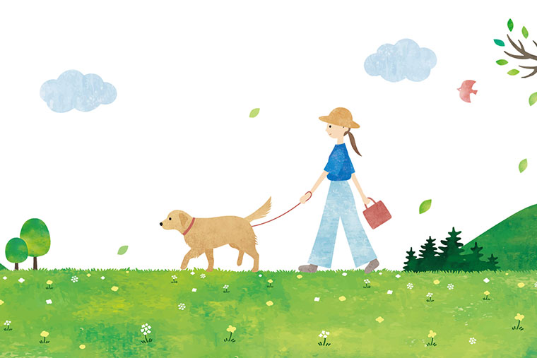 犬を連れて草原を散歩する女性のイラスト