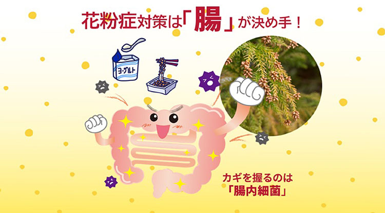 ヨーグルトカルーセル