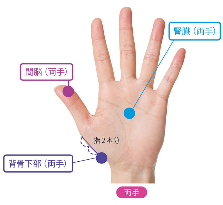 血圧を改善する反射区