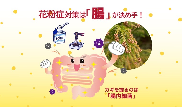 花粉症対策は腸が決め手　トップ画像